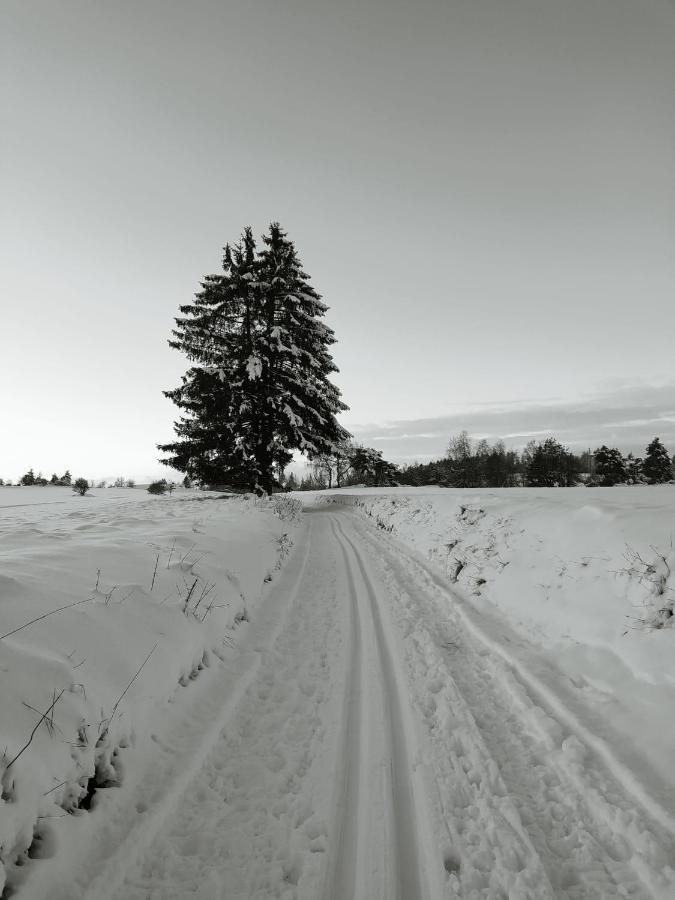 Matějovec 109&Ubytování Na statku Český Rudolec Exterior foto