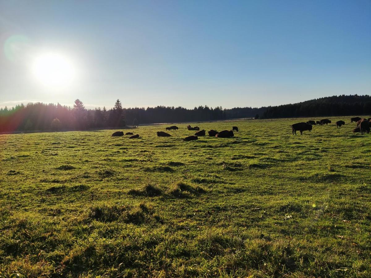 Matějovec 109&Ubytování Na statku Český Rudolec Exterior foto