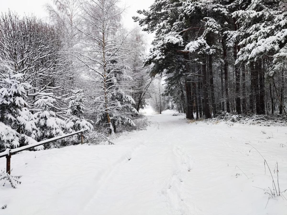 Matějovec 109&Ubytování Na statku Český Rudolec Exterior foto
